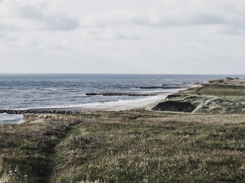 A grassy dune meadow above a North Sea beach