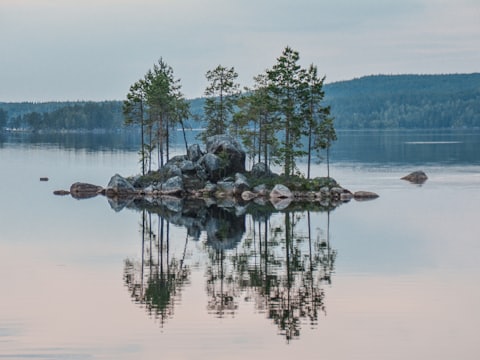 A small pine island mirrored in a still Nordic lake