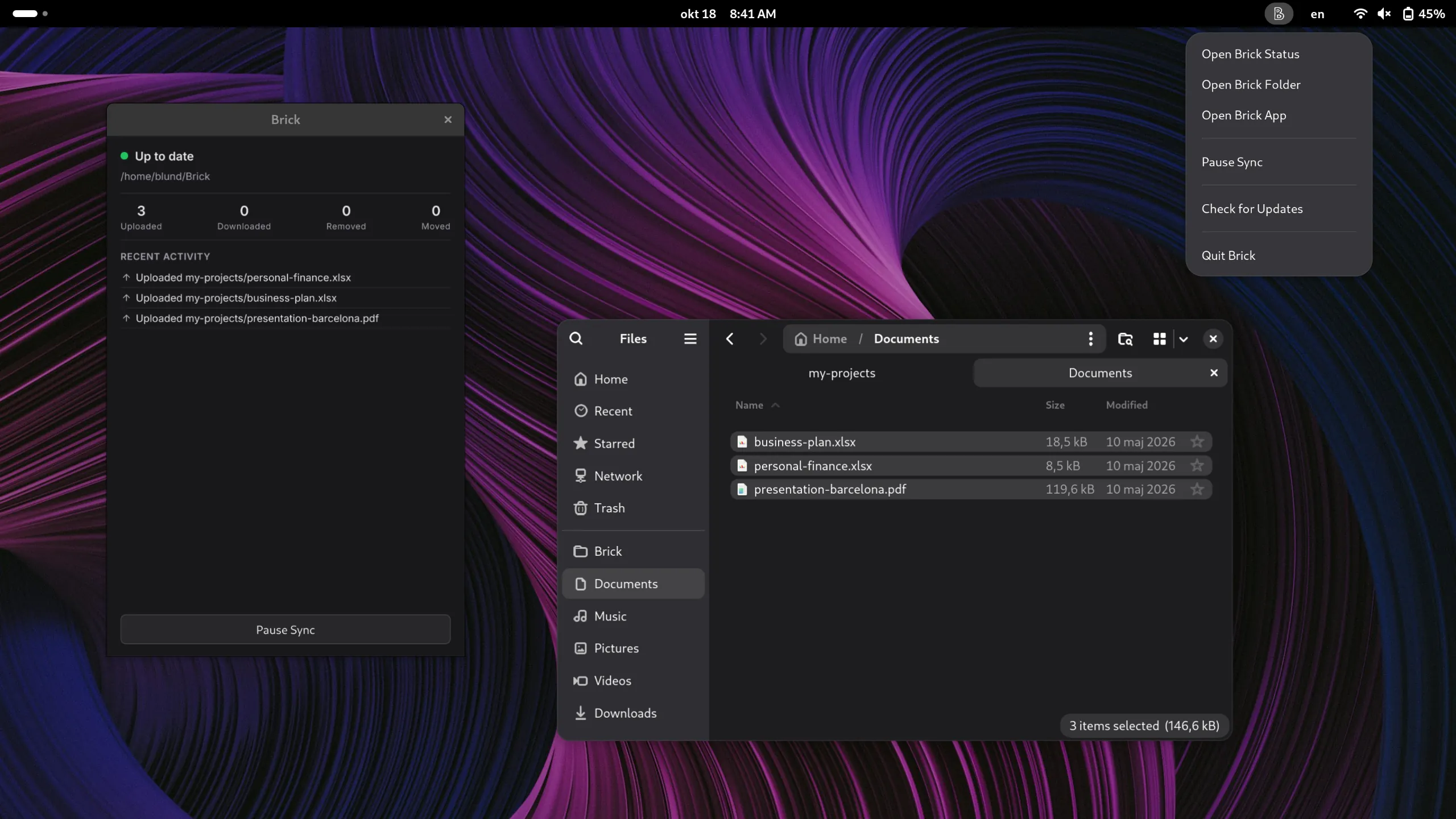 The Brick status window and file manager on Linux.